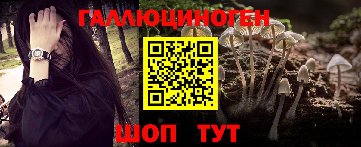 Галлюциногенные грибы MAGIC MUSHROOMS Клин